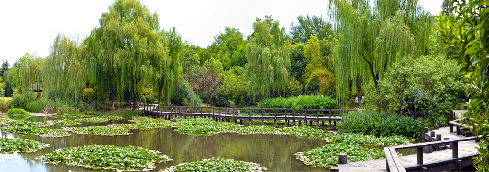 url(http://m.598sugz.cn/theme/TP000163/pic/banner4.jpg)